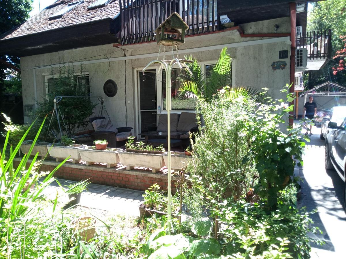 Balassa House Σίοφοκ Εξωτερικό φωτογραφία