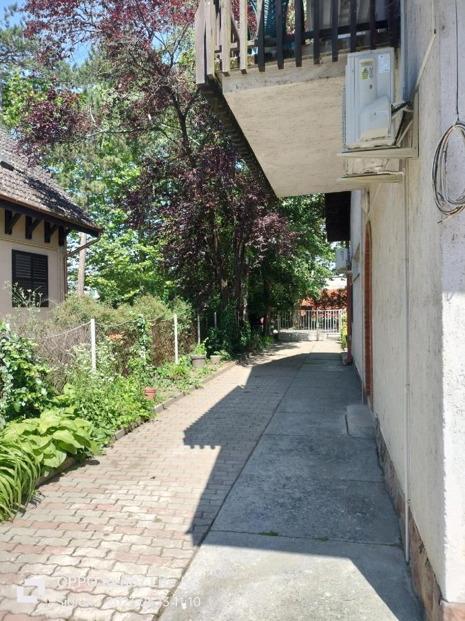 Balassa House Σίοφοκ Εξωτερικό φωτογραφία