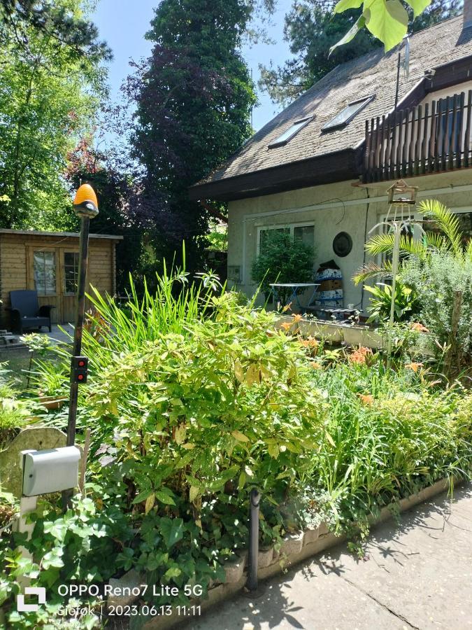 Balassa House Σίοφοκ Εξωτερικό φωτογραφία
